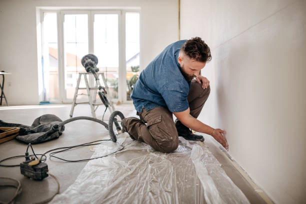 Best Drywall Removal and Disposal  in North Wantagh, NY